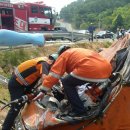 삼동면 전도3 이미지