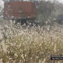 정곡농장 이미지