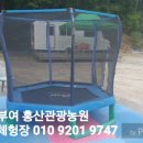 홍산오토바이