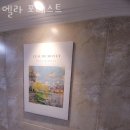 엘라포레스트