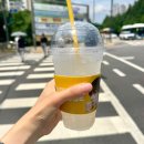 컴포즈커피 솔티드 쿨리치 당류 영양정보 칼로리 후기