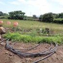 한림오일시장 이미지