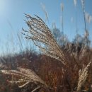 호령마을회관 이미지