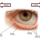 청년약국 이미지