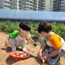 달콤농장 이미지