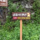 곰돌이광고기획