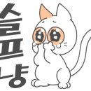 연세수내과의원 이미지