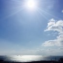 조원뽑기방 이미지