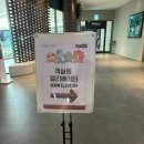 나인트리 프리미어 판교 호캉스 스탠다드 더블룸 후기, 수영장 헬스장 이용