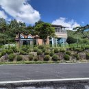 도곡2-235 이미지