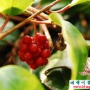 비학농장 이미지