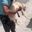 금산오토바이 국민일보