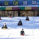 수승대 썰매장