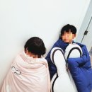 내야내야 똥강아지 이미지