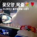예쁜강아지 | 강아지 목줄 종류 고민 끝! 예쁜 가죽 꽃목줄 플라워 버클 후기