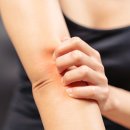 온도라이프 이미지