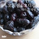 오디 이미지