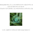 피지컬리지PT 이미지