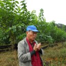 김연호농장 이미지