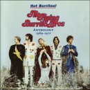 Flying Burrito Brothers / Sing Me Back Home 이미지