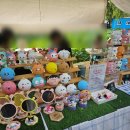 서동푸드 | 26년 부여서동연꽃축제 후기|개화현황, 먹거리, 셔틀버스