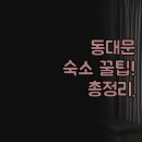 더리센츠호텔 | 동대문 숙소 비교 | 가족여행부터 반려동물 동반까지 총정리 | 더리센츠, 맹그로브 호텔 후기