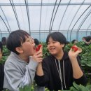 부산TIA태권도 이미지