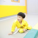 J.J 태권도장 이미지
