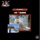 서문어린이도서관 | 아이와 가볼만한곳 서천 국립생태원 서문 입장을 해야 하는 이유