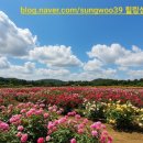 쉼힐링해독센터 이미지