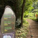 저지오름주차장 이미지