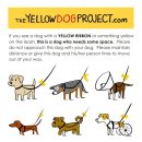 리본동물병원 이미지