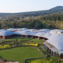 호텔 봄 이미지