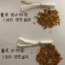 롤로토바코 이미지