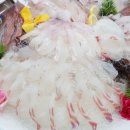 영금정활어회센터 이미지