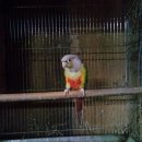 호빈조류새농장 이미지