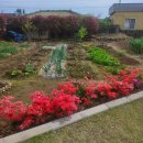 하모이삼로 이미지