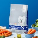 독크루 | [닥터독 베츠초이스]눈물사료, 피부 알러지사료 급여 3개월차 찐후기