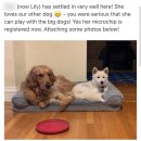 키움 동물병원 이미지