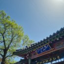 플로트하우스 | 남이섬벗꽃놀자축제 - 벚꽃축제 겹벚꽃명소 당일치기데이트 서울근교가볼만한곳