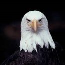 휘경119 안전센터 이미지