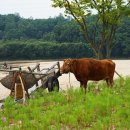 장발단속 이미지