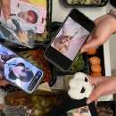피팔레트 네이버블로그