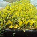 호연농장 이미지