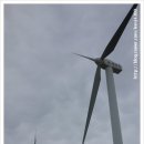 태흥식당 이미지