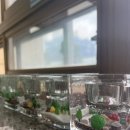 인천용현남초등학교 이미지