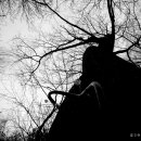 고로쇠마을 이미지