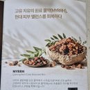 엘리비아