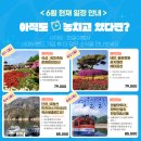 한길여행사 이미지