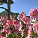 다부동전적기념관 이미지